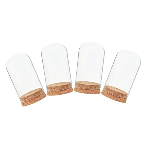 OSALADI 4 Stück Mini Runde Glaskuppel für Ewige Blumen Transparente Glasabdeckung für Dekoration und Schutz für Vitrinen und Bastelprojekte von OSALADI