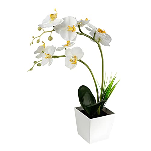 OSALADI Batteriebetriebene Orchideenblütenlichter Weiße Künstliche Orchideenpflanze Für Die Zimmerdekoration Zu Hause Schlafzimmer Jungen Und Mädchen von OSALADI