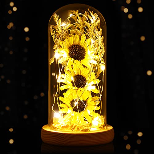 OSALADI FÜHRTE Blume Lampe Künstliche Sonnenblumen in Glas Dome mit Fee Lichter Enchanted Geschenk für Jahrestag Mütter Tag Valentines Tag (Gelb) von OSALADI