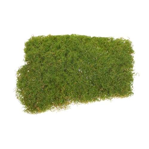 OSALADI Micro Landschaftsdekor Moos Imitiertes Moos Pflanzendekoration Für Bonsai Topf Pflanzen Terrarien DIY Garten Kreative Gestaltung von OSALADI