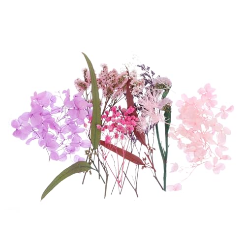 OSOLADY 1 Box Trockenblumen Materialpaket Kleine Trockenblumen Hochzeits Trockenblumen Kunstblumen Trockenblumen Zum Basteln Hortensien Set Trockene Natürliche Trockenblumen OSOLADY 1 Box Trockenblumen Materialpaket Kleine Trockenblumen Hochzeits Trockenblumen Kunstblumen Trockenblumen Zum Basteln Hortensien Set Trockene Natürliche Trockenblumen von OSOLADY