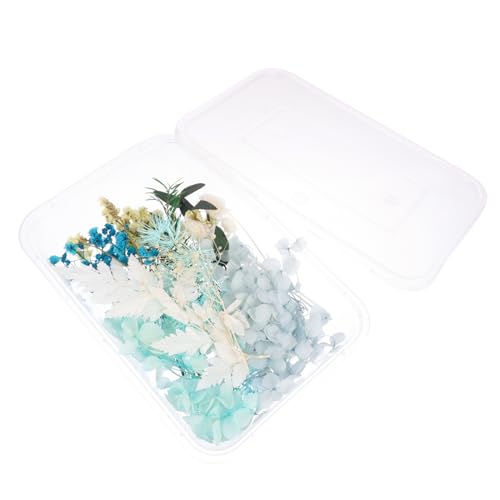 OSOLADY 1 Box Trockenblumenmaterial Paket Dekorative Blumen Gefälschte Getrocknete Lavendelblumen Kunstblumen Gefälschte Blumen Für Dekoration Hochzeit Trockenes Handgefertigtes OSOLADY 1 Box Trockenblumenmaterial Paket Dekorative Blumen Gefälschte Getrocknete Lavendelblumen Kunstblumen Gefälschte Blumen Für Dekoration Hochzeit Trockenes Handgefertigtes von OSOLADY