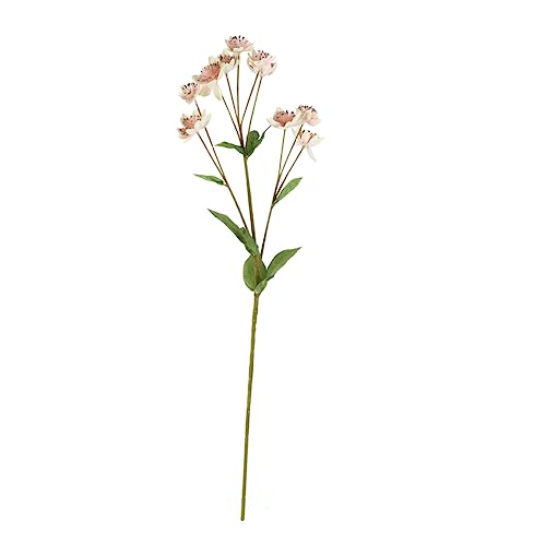 OSOLADY 1 Bund Künstliche Blumenstrauß aus Herba Saussureae Involucratae Realistische für Hochzeit Zuhause Büro Gedruckte Lebensechte Kunstblumen und DIY Arrangements und Feierlichkeiten OSOLADY 1 Bund Künstliche Blumenstrauß aus Herba Saussureae Involucratae Realistische für Hochzeit Zuhause Büro Gedruckte Lebensechte Kunstblumen und DIY Arrangements und Feierlichkeiten von OSOLADY