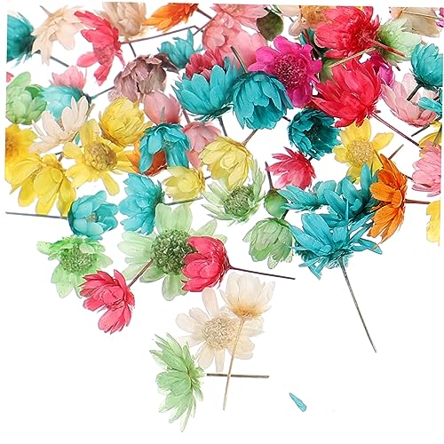 OSOLADY 1 DIY Valentinstagsgeschenk DIY Gepresste Blumen Vase Getrocknete Blumen DIY Blumenzubehör von OSOLADY