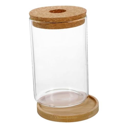 OSOLADY 1 Satz hydroponische Vase Bepflanzung Einer Wasserstation blumentöpfe blumenkübel blumenübertöpfe Blumen übertöpfe Links Mikrolandschaft Terrarium Mikro-Landschaftsbehälter Glas OSOLADY 1 Satz hydroponische Vase Bepflanzung Einer Wasserstation blumentöpfe blumenkübel blumenübertöpfe Blumen übertöpfe Links Mikrolandschaft Terrarium Mikro-Landschaftsbehälter Glas von OSOLADY