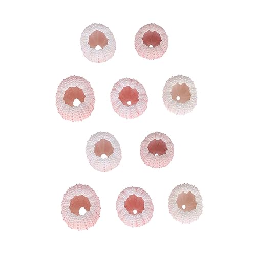 OSOLADY 10Stücke Natürliche Seeigel Schalen Dekoration für Zuhause Bastelmaterial für Luftpflanzen für Balkon Tisch und Kreative Projekte Farben Zufällig von OSOLADY