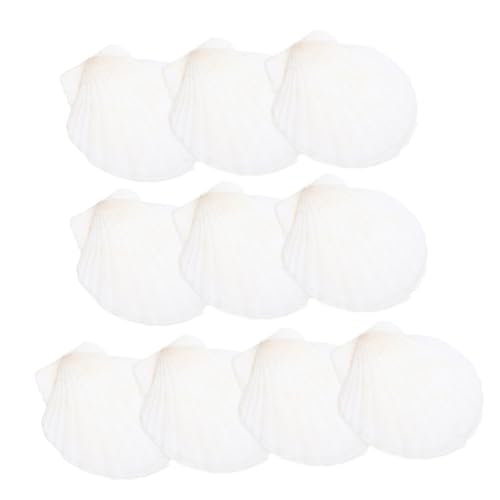 OSOLADY 10Stücke Teiliges Natürliche Muscheldekoration Weiße DIY Muscheln für Fischtank Vasenfüllung und Kreative Bastelprojekte OSOLADY 10Stücke Teiliges Natürliche Muscheldekoration Weiße DIY Muscheln für Fischtank Vasenfüllung und Kreative Bastelprojekte von OSOLADY