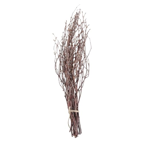 OSOLADY 10Stücke Trockene Birkenzweige Dekorative Holzstäbchen für Heimdekoration Bastelbedarf und DIY Projekte für Kreative Gestaltung und OSOLADY 10Stücke Trockene Birkenzweige Dekorative Holzstäbchen für Heimdekoration Bastelbedarf und DIY Projekte für Kreative Gestaltung und von OSOLADY