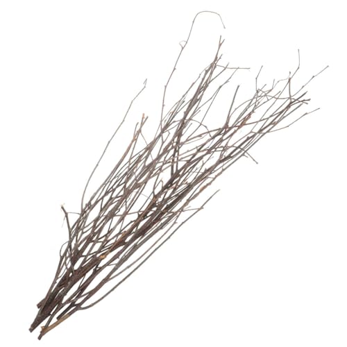 OSOLADY 12Stücke Natürliche Getrocknete Birkenzweige für DIY Blumenarrangements Dekorative Äste als Vasenfüller für Wohn und Bürodekoration Vielseitig Einsetzbar OSOLADY 12Stücke Natürliche Getrocknete Birkenzweige für DIY Blumenarrangements Dekorative Äste als Vasenfüller für Wohn und Bürodekoration Vielseitig Einsetzbar von OSOLADY