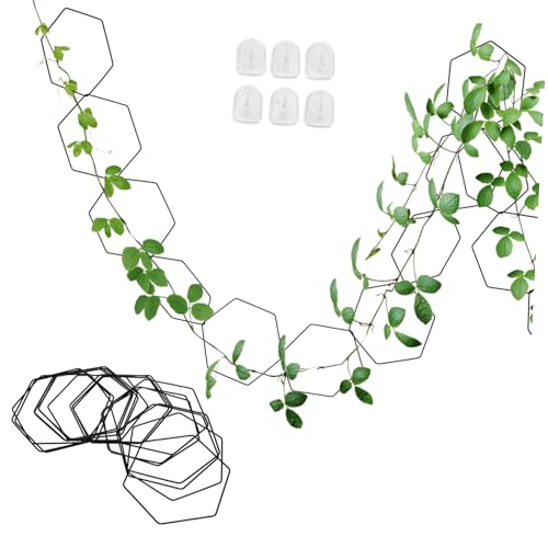 OSOLADY 1Satz Kettenspalier für Zimmerpflanzen Pflanzenstützstruktur mit Wandhaken Robustes für Kletterpflanzen Fördert Gesundes und Dekorative Gestaltung OSOLADY 1Satz Kettenspalier für Zimmerpflanzen Pflanzenstützstruktur mit Wandhaken Robustes für Kletterpflanzen Fördert Gesundes und Dekorative Gestaltung von OSOLADY