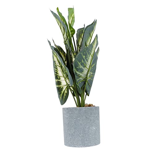 OSOLADY 1Stück Künstliche Monstera Pflanze Bonsai Imitation Grüne Pflanze für Wohnkultur für Büro Schule und Zuhause Pflegeleicht und Realistisch Gestaltet OSOLADY 1Stück Künstliche Monstera Pflanze Bonsai Imitation Grüne Pflanze für Wohnkultur für Büro Schule und Zuhause Pflegeleicht und Realistisch Gestaltet von OSOLADY