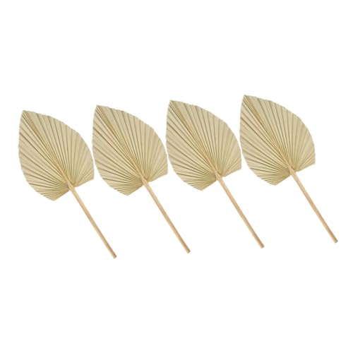 OSOLADY 8stücke Getrocknete Palmblatt-Dekorationen Für Hochzeits Und Partygestaltung Natürliche Wanddeko Für Romantische Anlässe Boho-Stil Langlebig Und Vielseitig Einsetzbar von OSOLADY