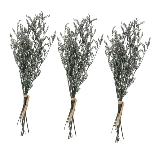 OSOLADY 3 Bündel Trockenblumenstrauß Gypsophila Kleine Blumenbouquets für DIY Hochzeiten Tischarrangements und Pflegeleichte Innendekoration OSOLADY 3 Bündel Trockenblumenstrauß Gypsophila Kleine Blumenbouquets für DIY Hochzeiten Tischarrangements und Pflegeleichte Innendekoration von OSOLADY