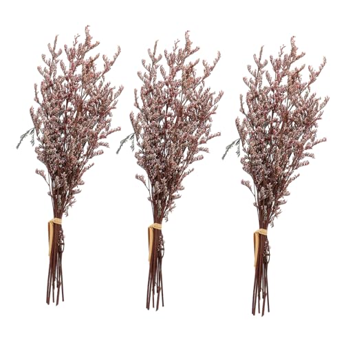OSOLADY 3 Bündel Trockenblumenstrauß aus Bunches Babysbreath Dekorative Gypsophila für Home Decoration und für Hochzeiten und Tischarrangements OSOLADY 3 Bündel Trockenblumenstrauß aus Bunches Babysbreath Dekorative Gypsophila für Home Decoration und für Hochzeiten und Tischarrangements von OSOLADY