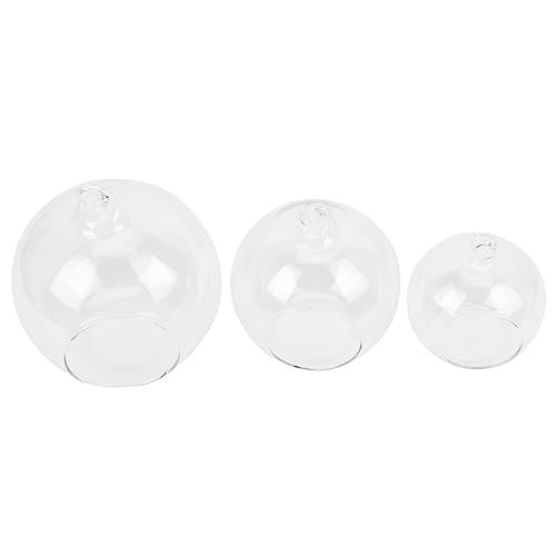 OSOLADY 3Stücke Hängende Glasvase Kugelform für Pflanzen Transparentes Terrarium Wohnkultur und Mikrolandschaften OSOLADY 3Stücke Hängende Glasvase Kugelform für Pflanzen Transparentes Terrarium Wohnkultur und Mikrolandschaften von OSOLADY