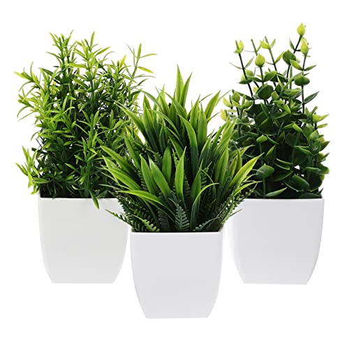 OSOLADY 3Stücke Künstliche Bonsai Pflanzen Miniatur Topfpflanzen für Wohnzimmer Büro Küche Realistische Deko für Schreibtisch und Regal Hochwertige Kunstpflanzen mit Topf OSOLADY 3Stücke Künstliche Bonsai Pflanzen Miniatur Topfpflanzen für Wohnzimmer Büro Küche Realistische Deko für Schreibtisch und Regal Hochwertige Kunstpflanzen mit Topf von OSOLADY