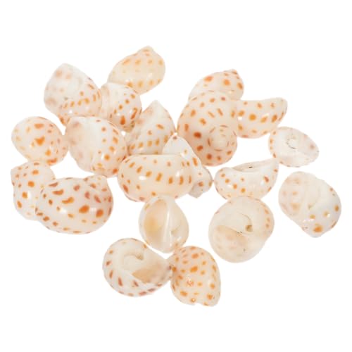 OSOLADY 40 Stücke Muscheldekoration für Aquarien aus Natürlichem Material Selbstgemacht Conch Shells Kreative Crab Shells für Tisch und Aquarienverzierung von OSOLADY