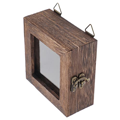 OSOLADY Getrocknete Blumen Box Hängende Insekten Display Vitrine für Schmetterlingsproben für Wanddekoration für Wohnzimmer und Schlafzimmer OSOLADY Getrocknete Blumen Box Hängende Insekten Display Vitrine für Schmetterlingsproben für Wanddekoration für Wohnzimmer und Schlafzimmer von OSOLADY