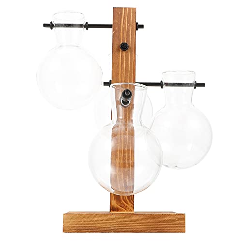 OSOLADY Glasvase mit Holzrahmen für Hydroponik Dekorative Tischvase für Blumen Pflanzen Stilvolles Wohnaccessoire für Wohnzimmer Schlafzimmer Büro Teilige Anordnung von OSOLADY