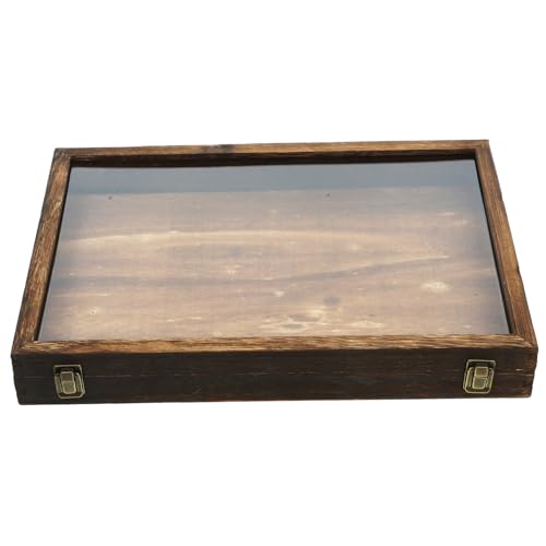 OSOLADY Insekten Display Box Klarglasdeckel Vintage Aufbewahrungsbox Für Schmetterlinge Und Trockenblumen Wandmontierbare Sammlungsvitrine von OSOLADY