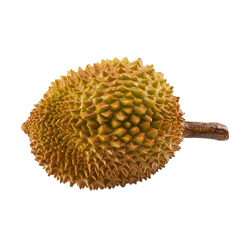 OSOLADY Künstliche Durian für Zuhause Realistische Fotografie Requisiten Kunstfrucht Dekoration für Partys und Vasenfüllung OSOLADY Künstliche Durian für Zuhause Realistische Fotografie Requisiten Kunstfrucht Dekoration für Partys und Vasenfüllung von OSOLADY