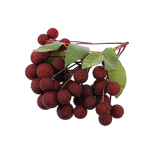 OSOLADY Simulierte Lorbeerschnur künstliche Fruchtanzeige Künstliche Früchte realistisch dekorativ falsches Obstdekor Gefälschte Obstdekoration Kleber spüren rot OSOLADY Simulierte Lorbeerschnur künstliche Fruchtanzeige Künstliche Früchte realistisch dekorativ falsches Obstdekor Gefälschte Obstdekoration Kleber spüren rot von OSOLADY