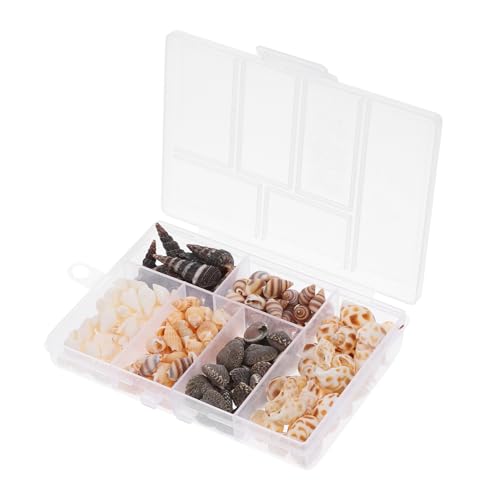 OSOLADY Vom Meer Inspirierte Muschelornamente für Bastelprojekte Strand-aquarienfüller 100-g-set OSOLADY Vom Meer Inspirierte Muschelornamente für Bastelprojekte Strand-aquarienfüller 100-g-set von OSOLADY