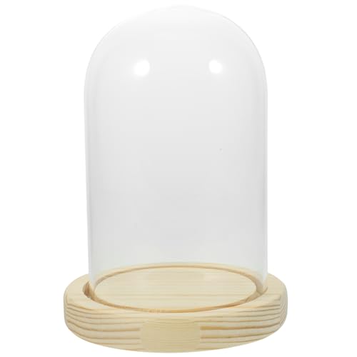 OSOLADY Transparente Glasglocke mit Holzsockel Deko Display für Trockenblumen Figuren und Eleganter Halter aus Hochwertigem und für Stilvolle Präsentationen von OSOLADY