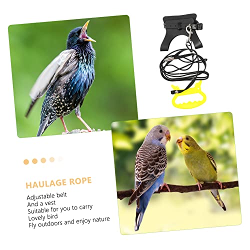 OSOLADY Verstellbares Papageien Geschirr mit Leine Atmungsaktives Vogelgeschirr für Kleine und Mittlere Papageien Komfortables Trainingsgeschirr für Outdoor Flugtraining und Sichere von OSOLADY
