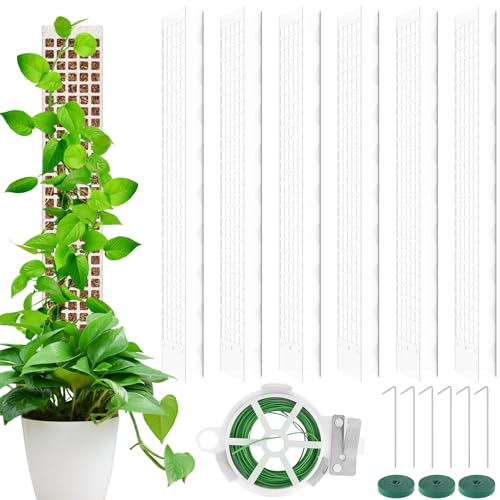 6 Stcs Plastikmoosstangen für Pflanzen 24 Zoll Moosstange für Innenpflanzen einfach zu installieren Moosstangen einzigartige Moospolkit mit 3 Befestigungsklebeband 6er gemahlen von OSPALEM