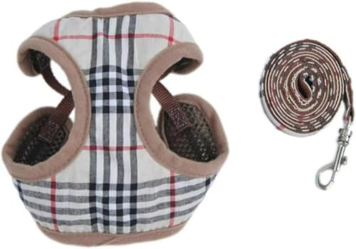 Dog Harness and Lead Set, Breathable Chest Harness with Soft Padding and Ventilation Net for Small Dogs Running, Hiking & Training, Adjustable Bands (A,M) von OTIAN