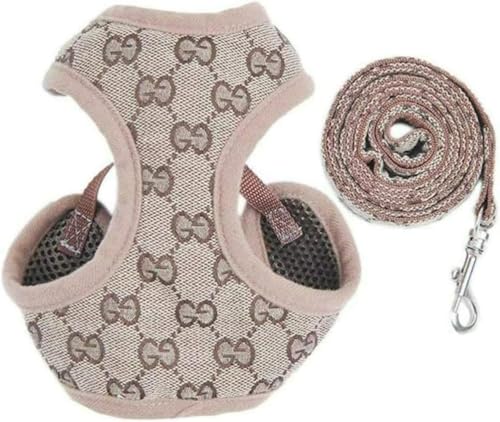 Dog Harness and Lead Set, Breathable Chest Harness with Soft Padding and Ventilation Net for Small Dogs Running, Hiking & Training, Adjustable Bands (B,L) von OTIAN