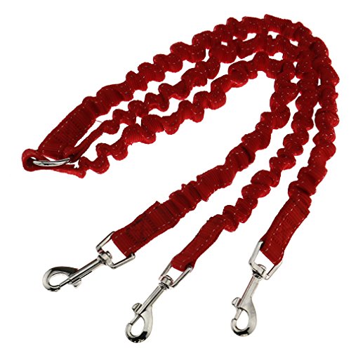 Triple Koppler Pet Dog Walking Leine Elastic Bungee Seil Rot Splitter 3 Wege … von OTOTEC