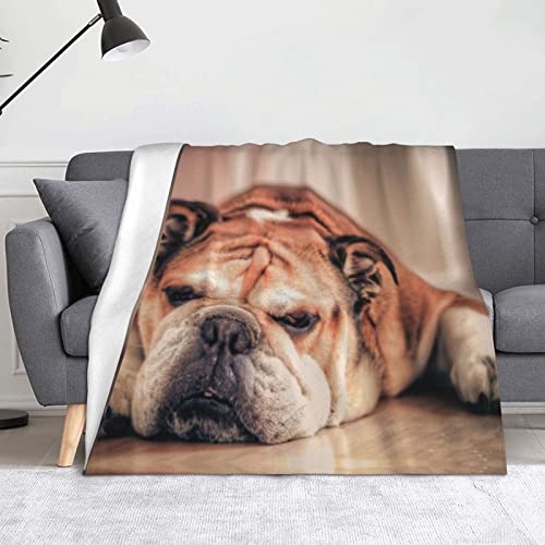 OTRAHCSD Decke, Englische Bulldogge, Überwurfdecke, weiche, leichte Flanelldecke für Sofas, Bett, Setten (150 x 125 cm) von OTRAHCSD