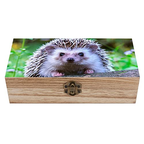 OTRAHCSD Quadratische Holzkiste, niedliche kleine Igel-Aufbewahrungsbox, dekorative Holzkiste für Sammlerstücke von OTRAHCSD