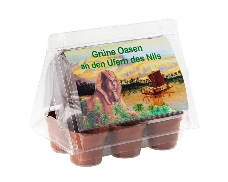 Blumensamen Mini-Gewächshaus -Oasen des Nil - mit Samen der Zwerg-Dattelpalme von OTTO