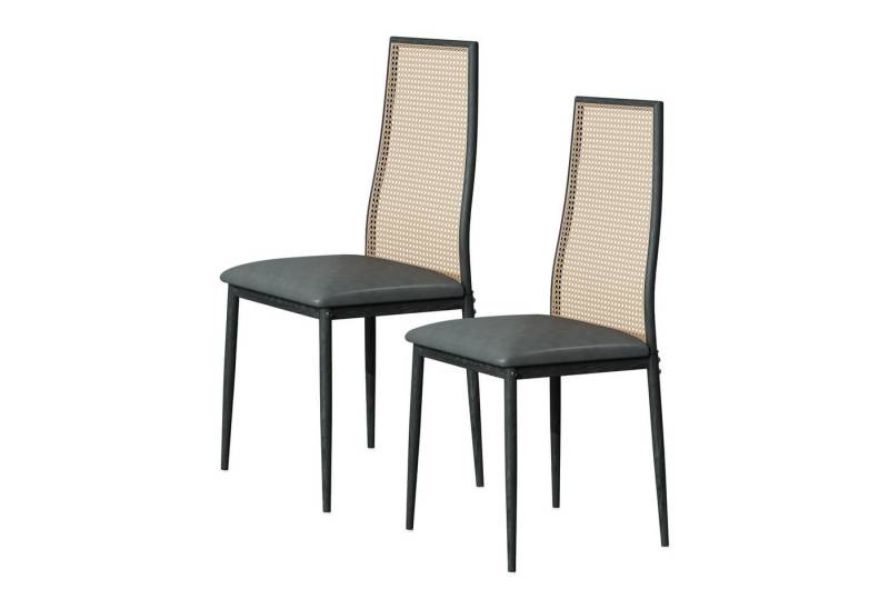 FUROKOY Esszimmerstuhl Rattansessel 2er Set Küchenstuhl, Polsterstuhl Retro Wohnzimmerstuhl mit Rückenlehne von FUROKOY