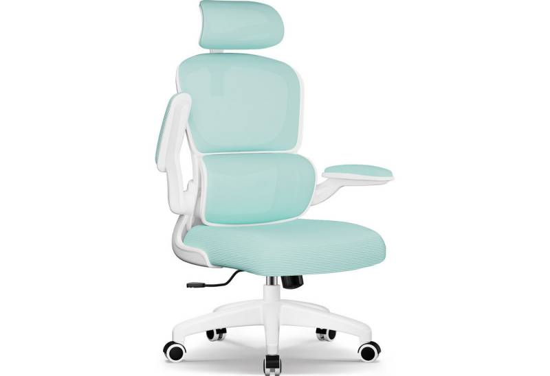 Homimaster Bürostuhl Bürostuhl, Schreibtischstuhl Ergonomisch mit Klappbaren Armlehnen (Bürostuhl mit Verstellbarer Kopfstütze, 90° Klappbare Armlehnen und Lendenwirbelstütze, Höhenverstellbarer Chefsessel aus Mesh), Bürostuhl mit maximaler Neigung von 135°, bis 150 kg belastbar von Homimaster