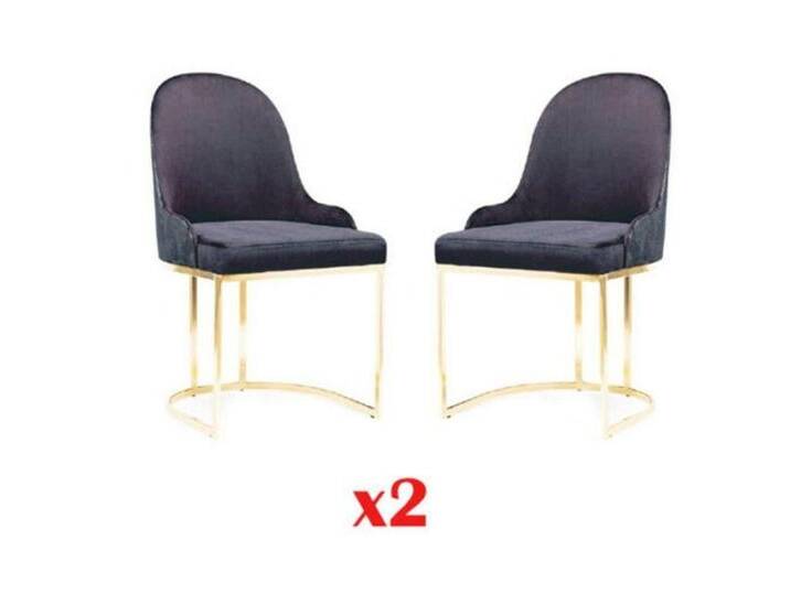 JVmoebel Esszimmerstuhl Ess Zimmer Möbel Set 2x Stuhl Blau Elegant Stuhl Holz Blau, Made in Europa, schwarz von OTTO