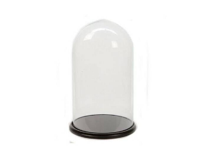 Kaemingk Vorratsdose Käseglocke Obstglocke Käsebrett Glasglocke 2-teilig, rund von OTTO