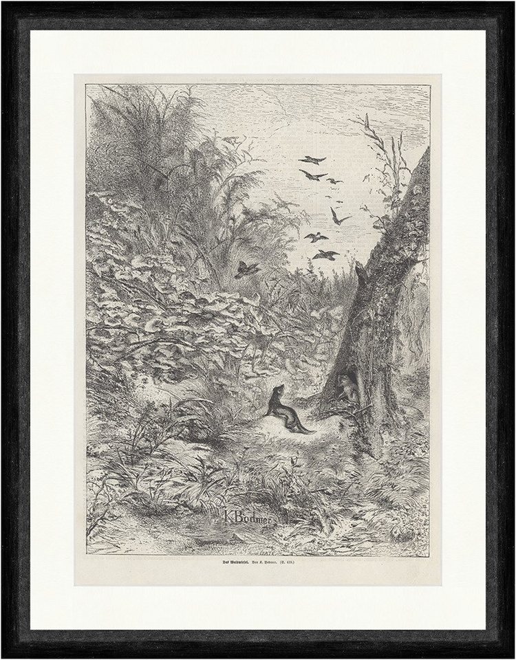 Kunstdruck Das Waldwiesel Bodmer Tiere Vögel Bäume Sträucher Bau Höhle Faksimile_, (1 St) von OTTO