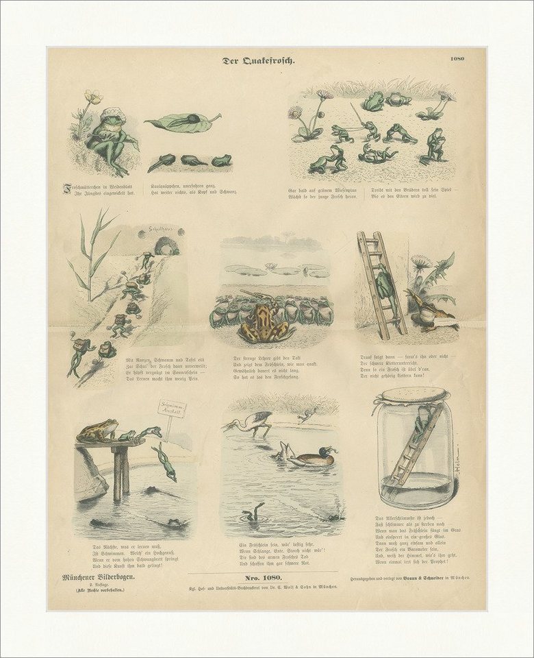 BillerAntik Kunstdruck Der Quakefrosch A. Holm Schule Leiter Glas Holzstich Münchener Bilderb, (1 St) von BillerAntik