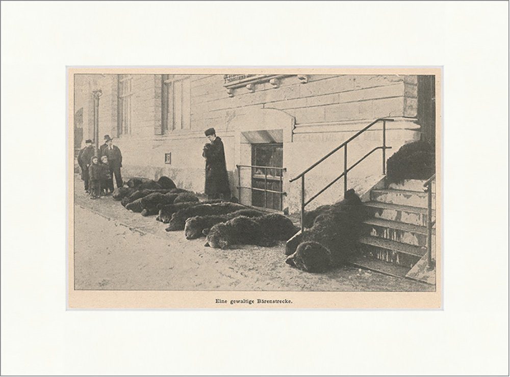 Kunstdruck Eine gewaltige Bärenstrecke. Tiere Beute Jagd Pelz Fell Tot F_Vintage, (1 St) von OTTO