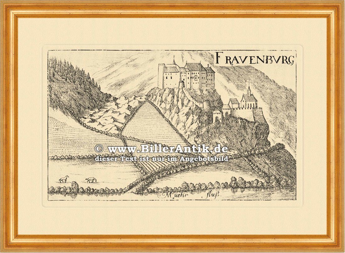 Kunstdruck Frauenburg bei Unzmarkt Vischer Österreich Burgen und Schlösser 078 G, (1 St) von OTTO