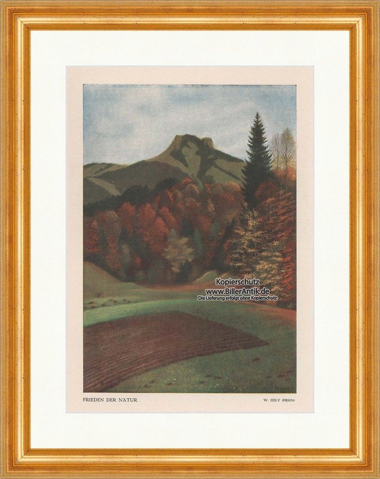 BillerAntik Kunstdruck Frieden der Natur W. Hely Prien a Chiemsee Bayern Landschaft Jugend 12, (1 St) von BillerAntik