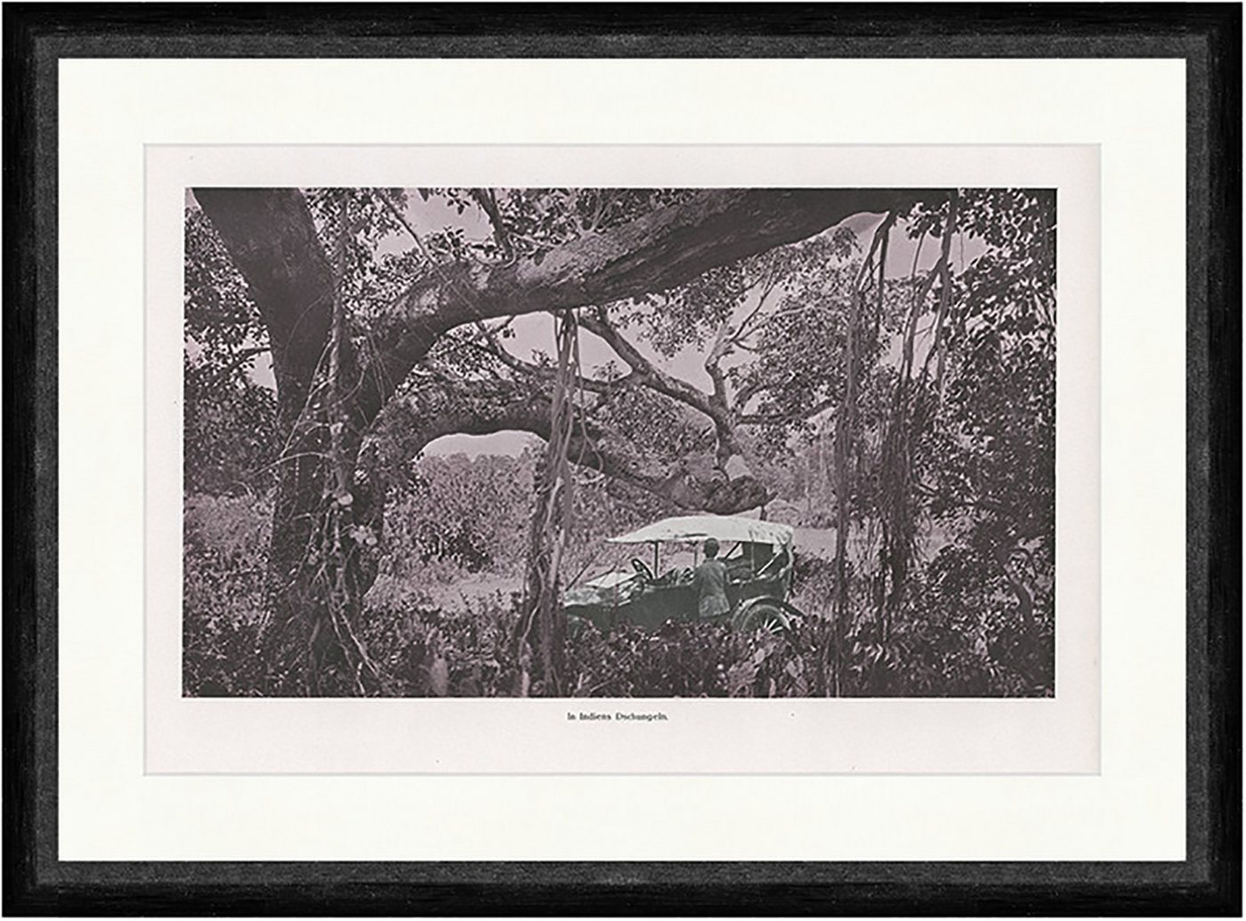 Kunstdruck In Indiens Dschungeln 1914 Automobil Safari Lianen Bäume F_Vintage 004, (1 St) von OTTO