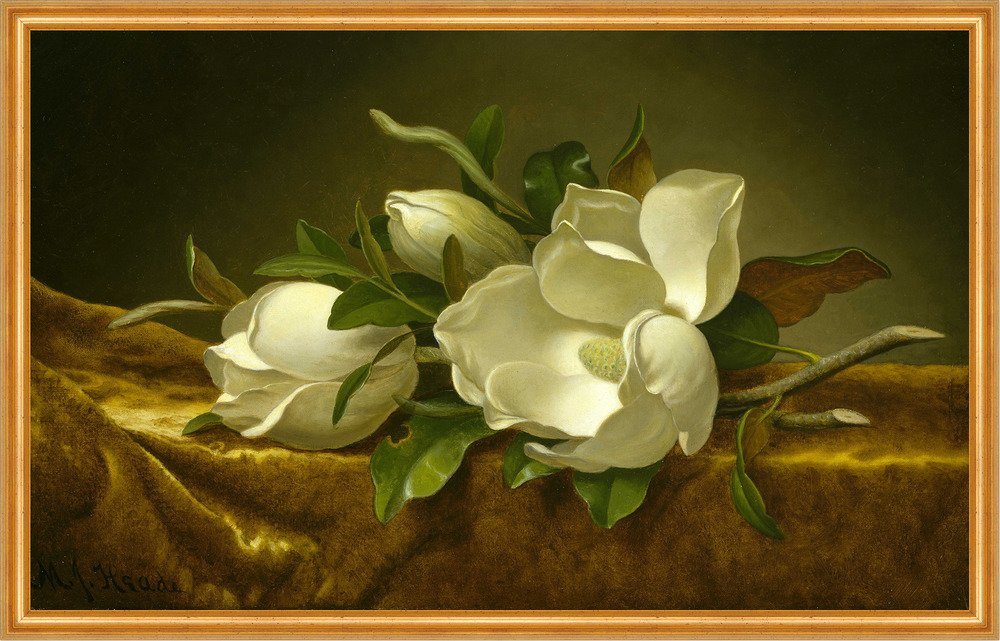 Kunstdruck Magnolias on Gold Velvet Cloth Martin Johnson Heade Magnolien Blumen B, (1 St) von OTTO