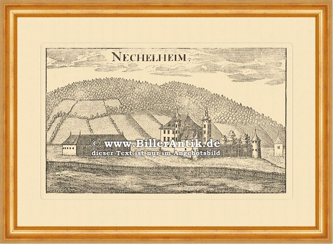 Kunstdruck Nechelheim im Mürztal Schloss Vischer Österreich Burgen u. Schlösser 2, (1 St) von OTTO