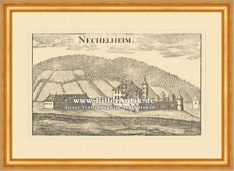 BillerAntik Kunstdruck Nechelheim im Mürztal Schloss Vischer Österreich Burgen u. Schlösser 2, (1 St) von BillerAntik