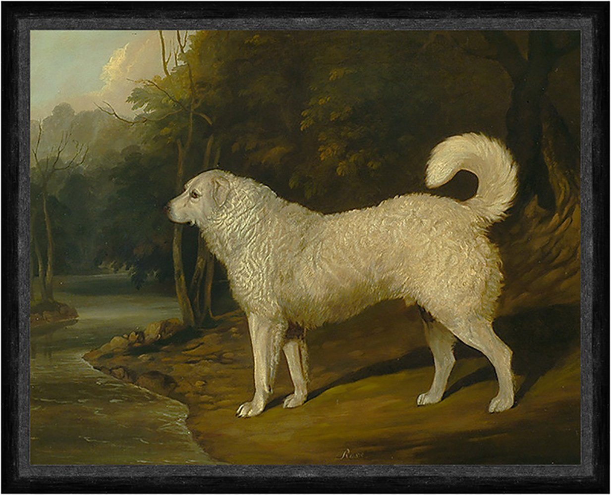 Kunstdruck Portrait of a Dog, Ross David Dalby of York Hunde Rassen Tiere Fell Fa, (1 St) von OTTO